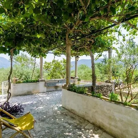Holiday home Field Of Olives - Two Bedroom With Terrace