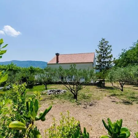 Field Of Olives - Two Bedroom With Terrace Holiday home Gruda