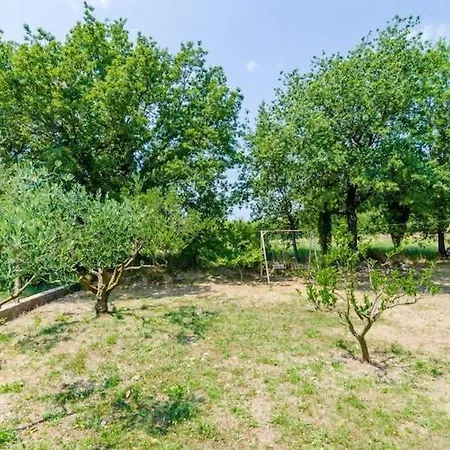 Holiday home Field Of Olives - Two Bedroom With Terrace