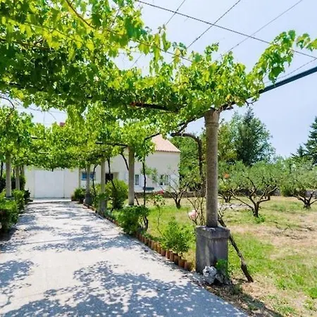 Field Of Olives - Two Bedroom With Terrace *