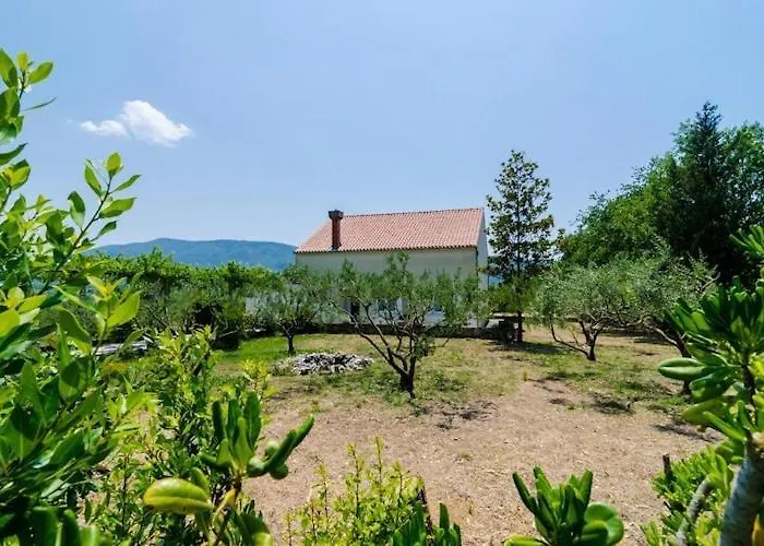 Field Of Olives - Two Bedroom With Terrace Feriehus Gruda