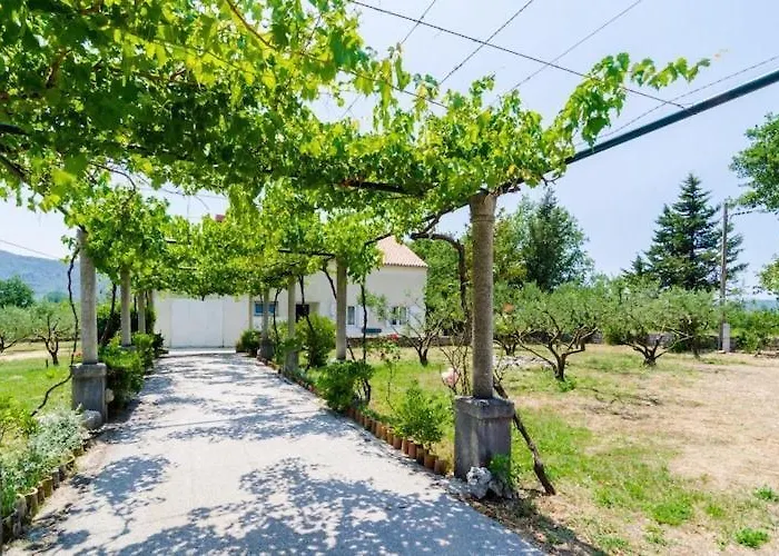 Field Of Olives - Two Bedroom With Terrace *